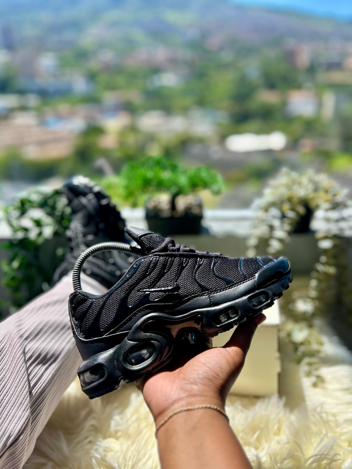 TN Negro