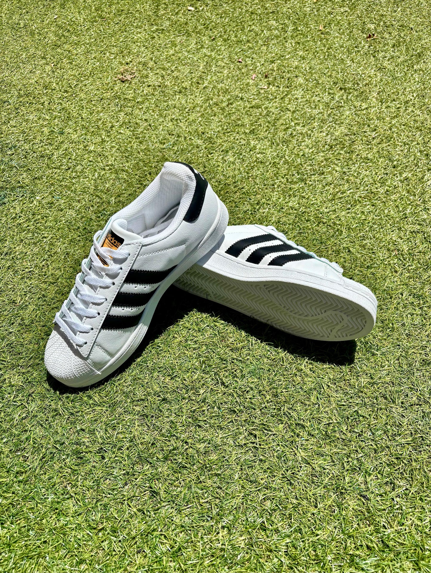 Superstar Clásico blanco