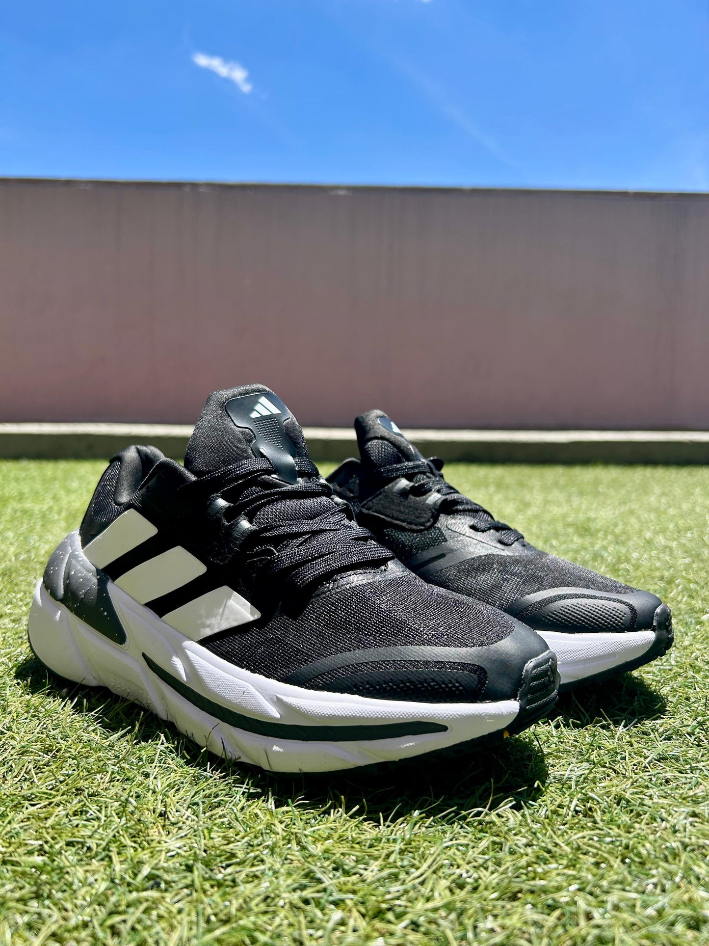 Adistar Negro-blanco