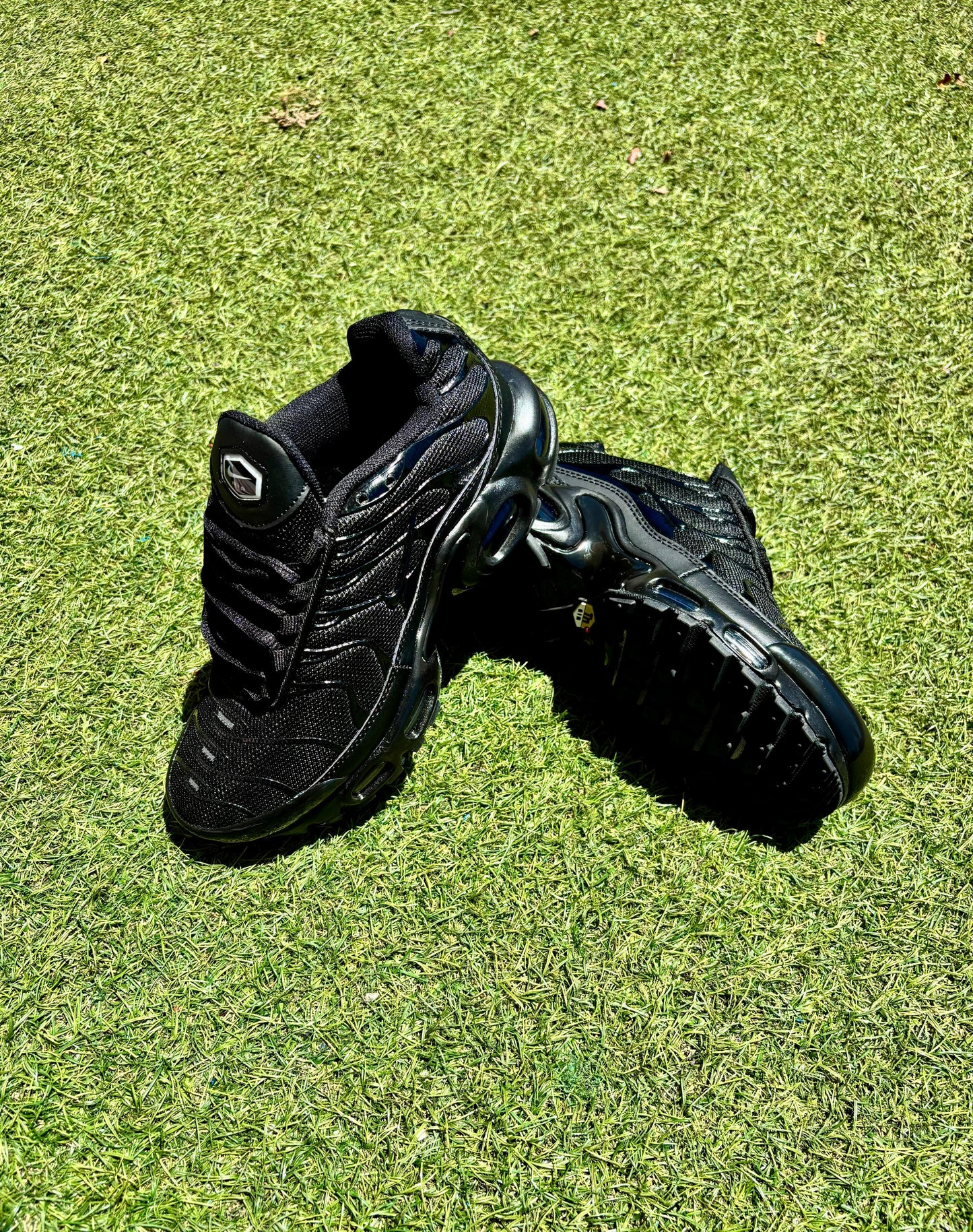 TN Negro