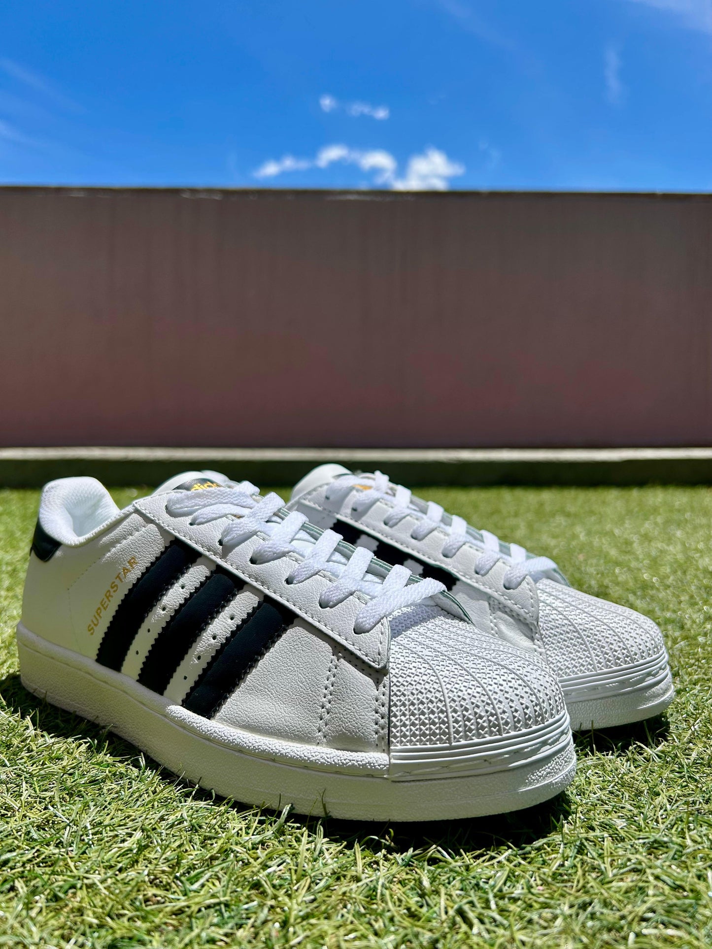 Superstar Clásico blanco