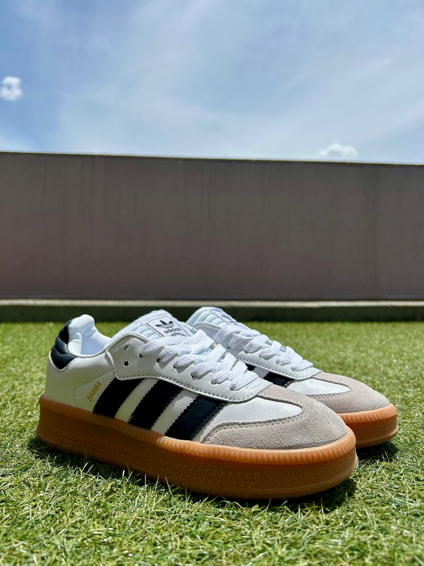 SAMBA plataforma