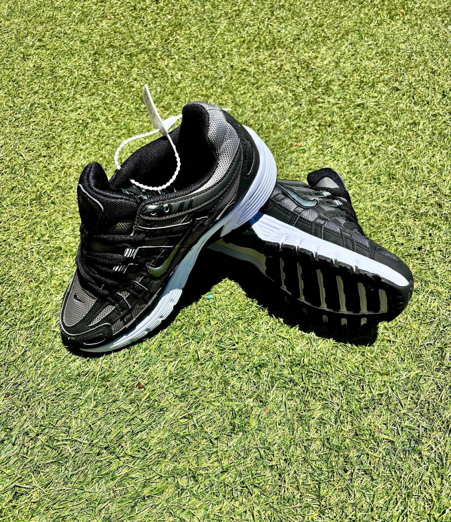 P6000 Negro